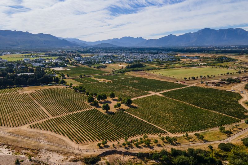 0 Bedroom Property for Sale in Val De Vie Estate Western Cape